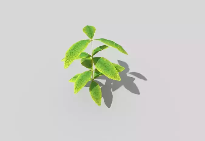 low poly ground plant