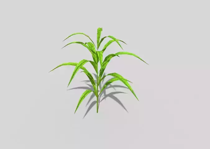 low poly ground plant Low-poly 3D model
