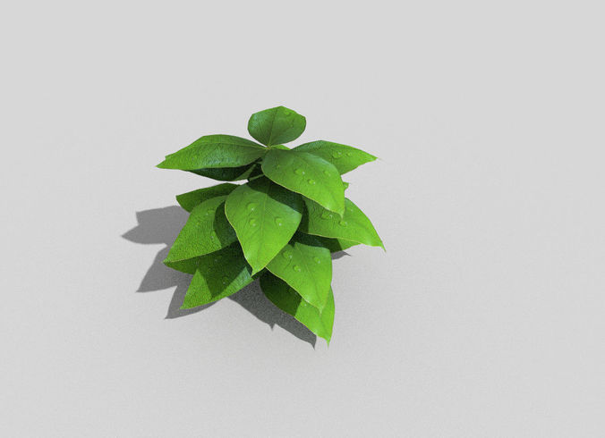 low poly ground plant Low-poly 3D model