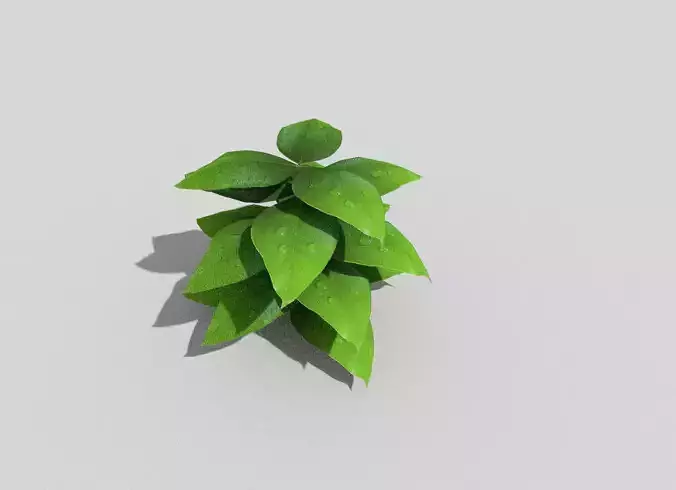 low poly ground plant