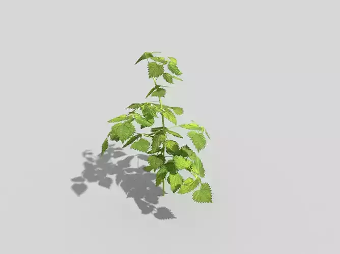 low poly ground plant Low-poly 3D model