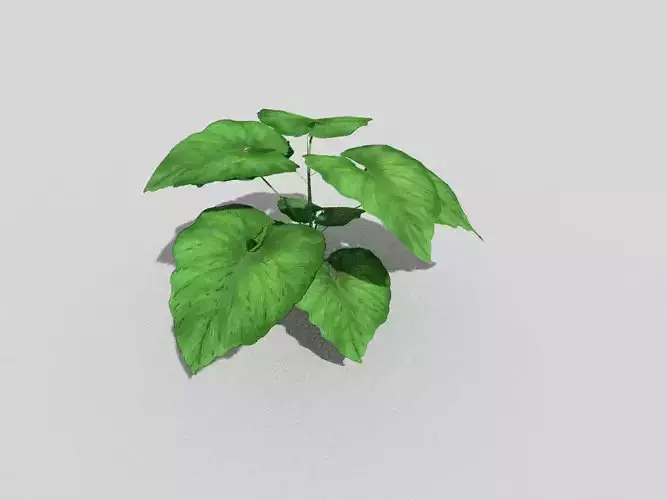 low poly ground plant