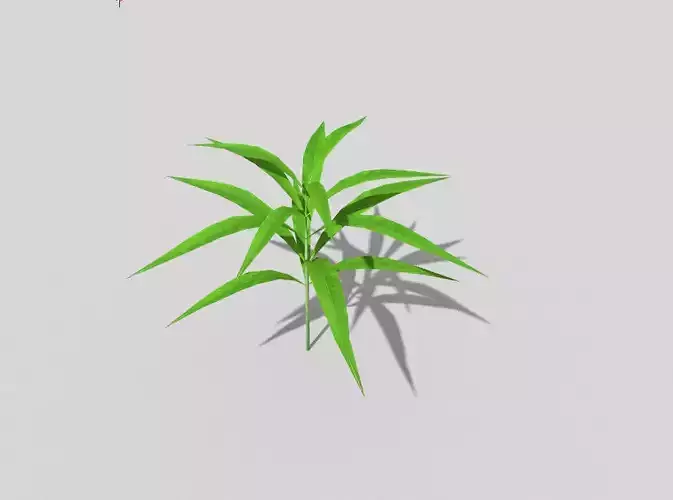 low poly ground plant Low-poly 3D model
