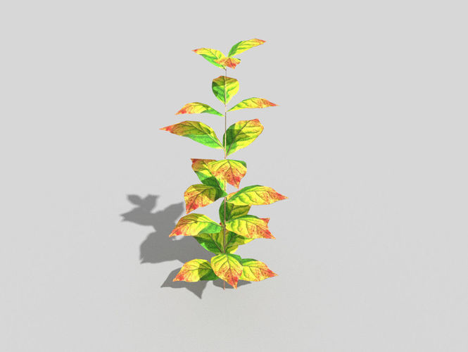 low poly ground plant Low-poly 3D model