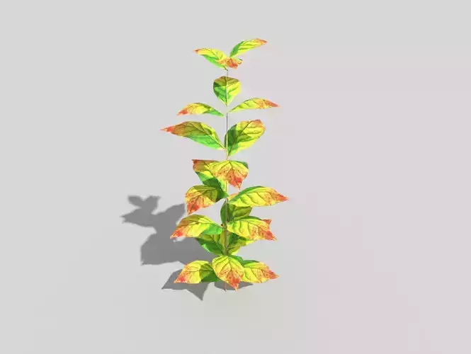 low poly ground plant Low-poly 3D model
