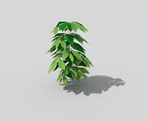 low poly ground plant Low-poly 3D model