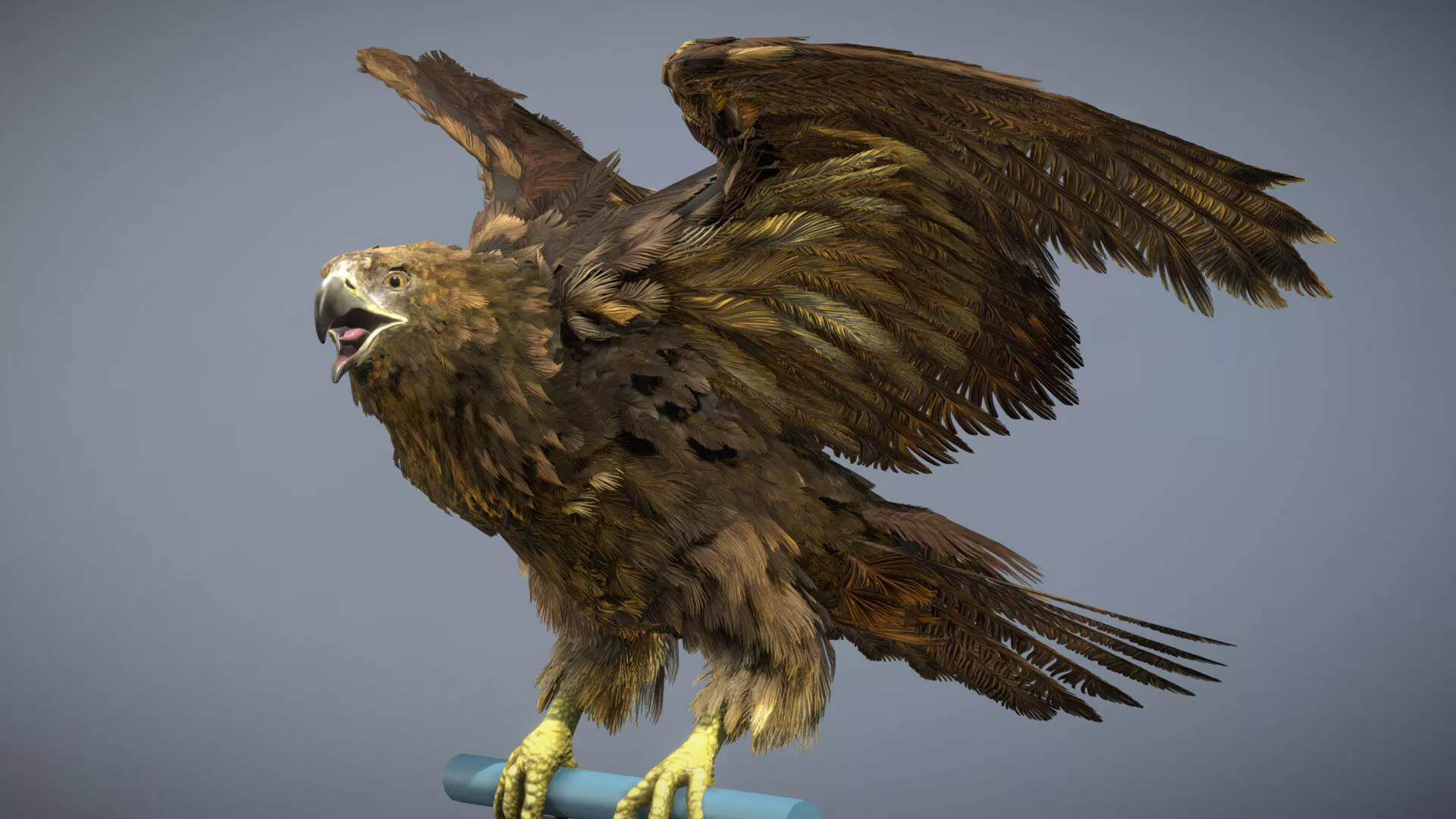 Golden Eagle 3D model