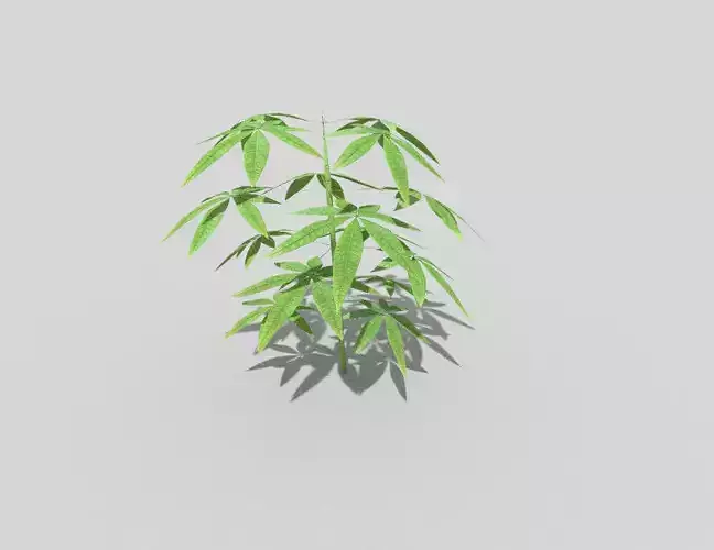 low poly ground plant Low-poly 3D model