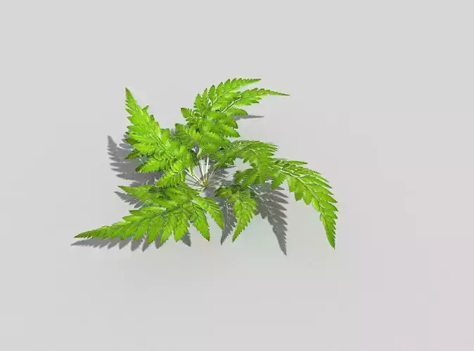 low poly ground plant Low-poly 3D model