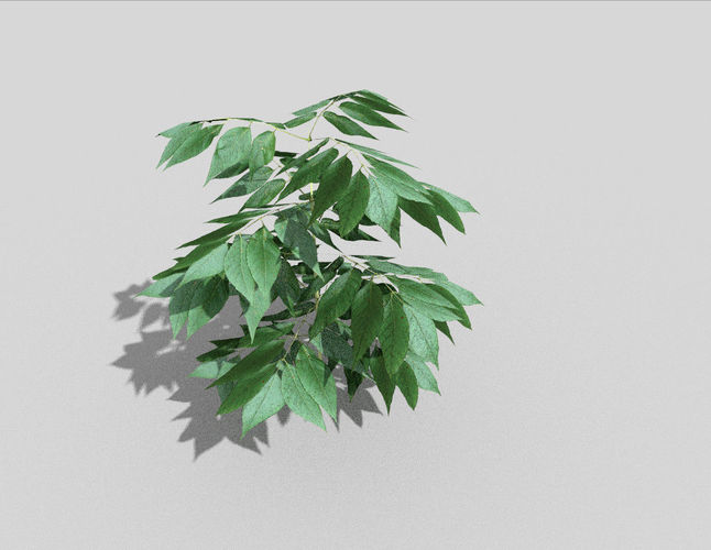 low poly ground plant Low-poly 3D model