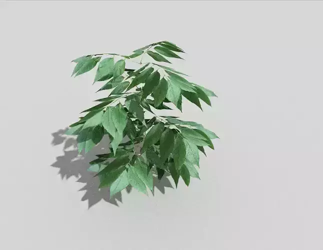 low poly ground plant Low-poly 3D model