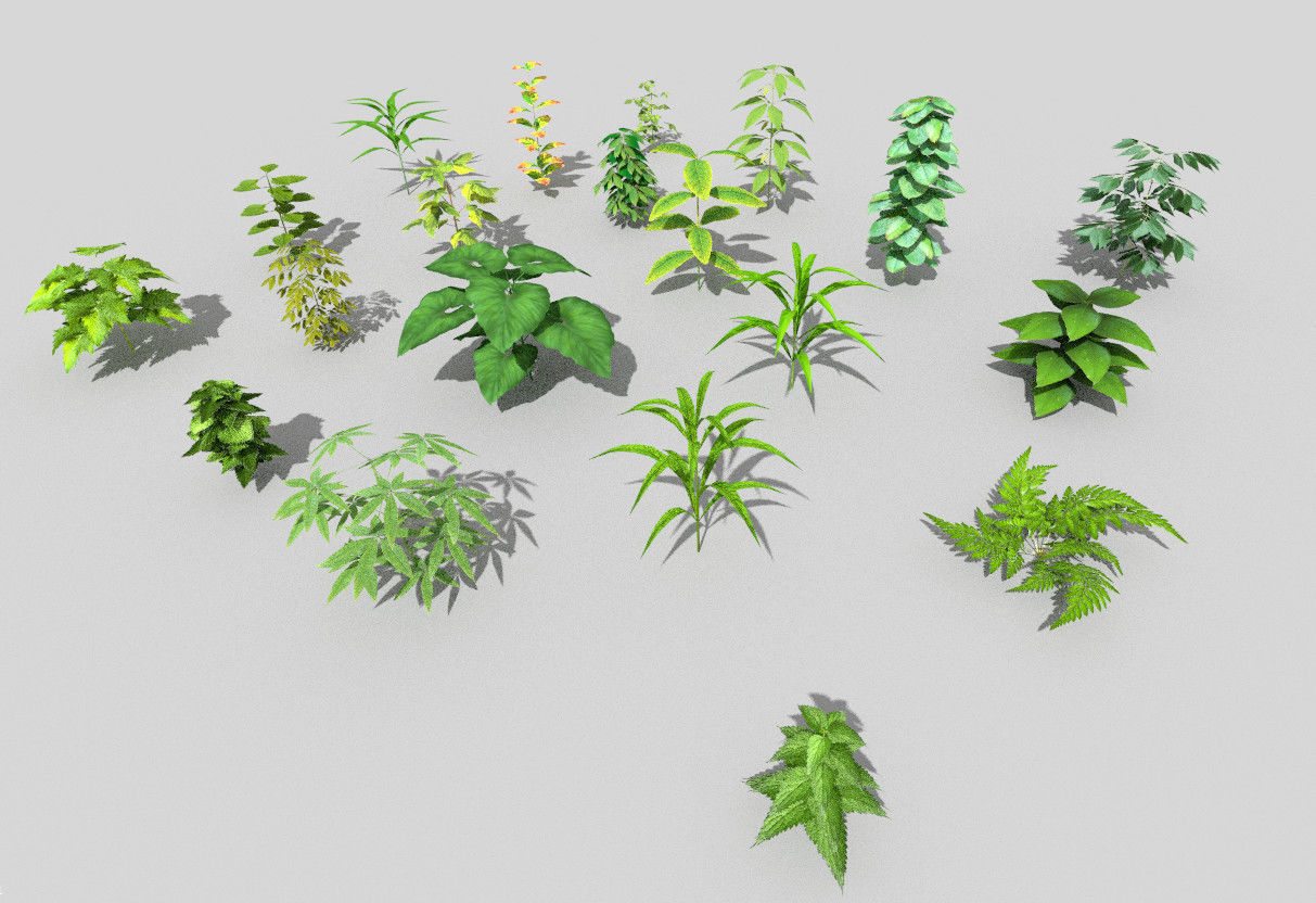 20 low poly grounds plant pack Low-poly 3D model_4