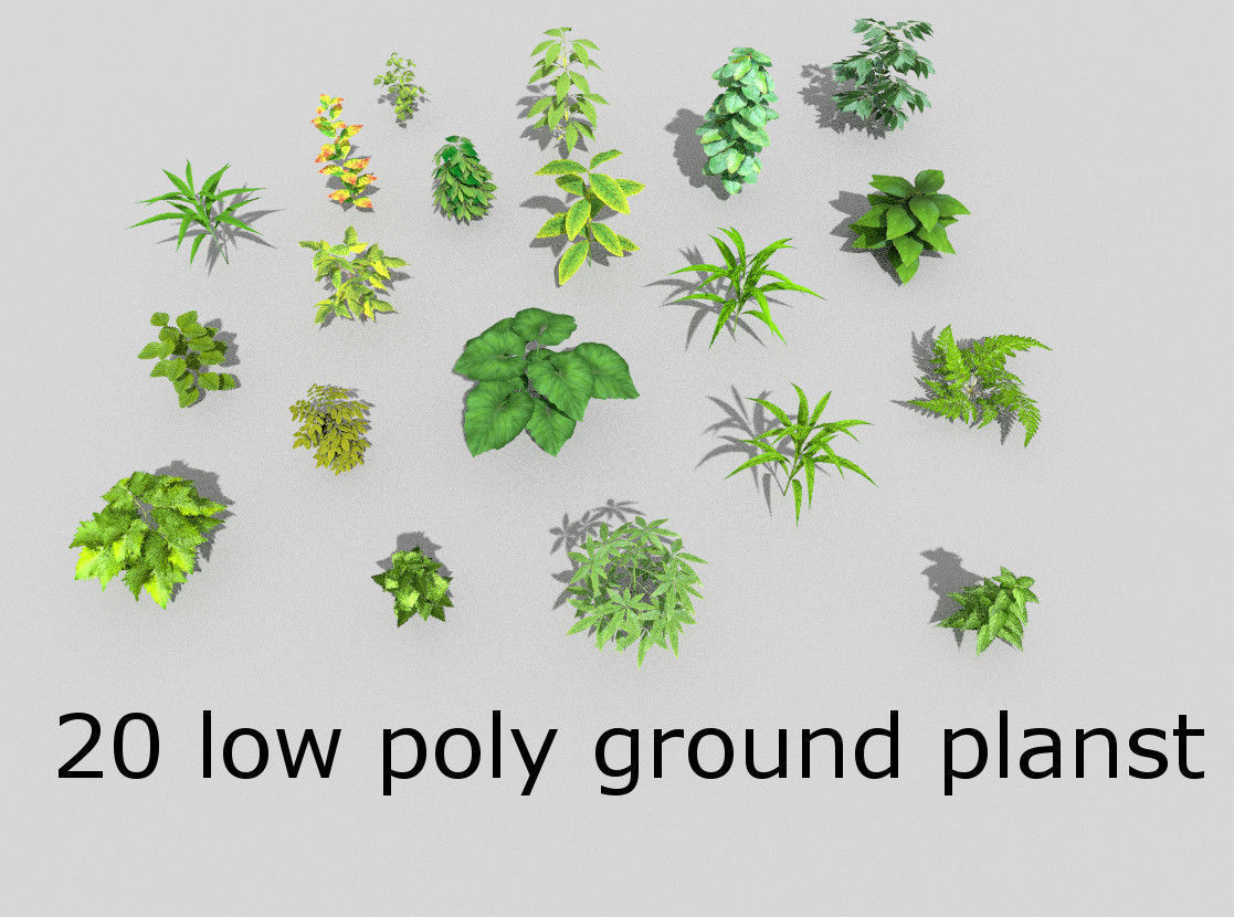 20 low poly grounds plant pack Low-poly 3D model_1
