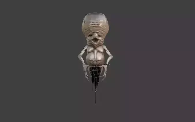 Wrinkled Prophet