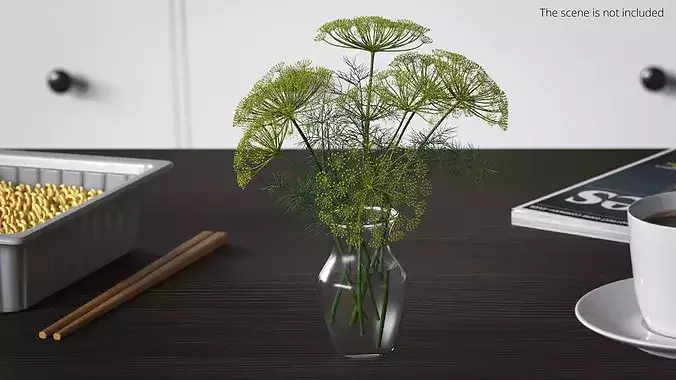 Bouquet of Dill Flowers in Vase with Water 3D model 3