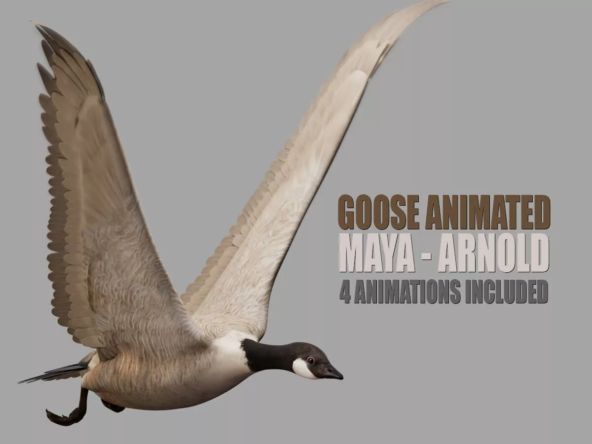 Goose Animated Maya 2026 3D model