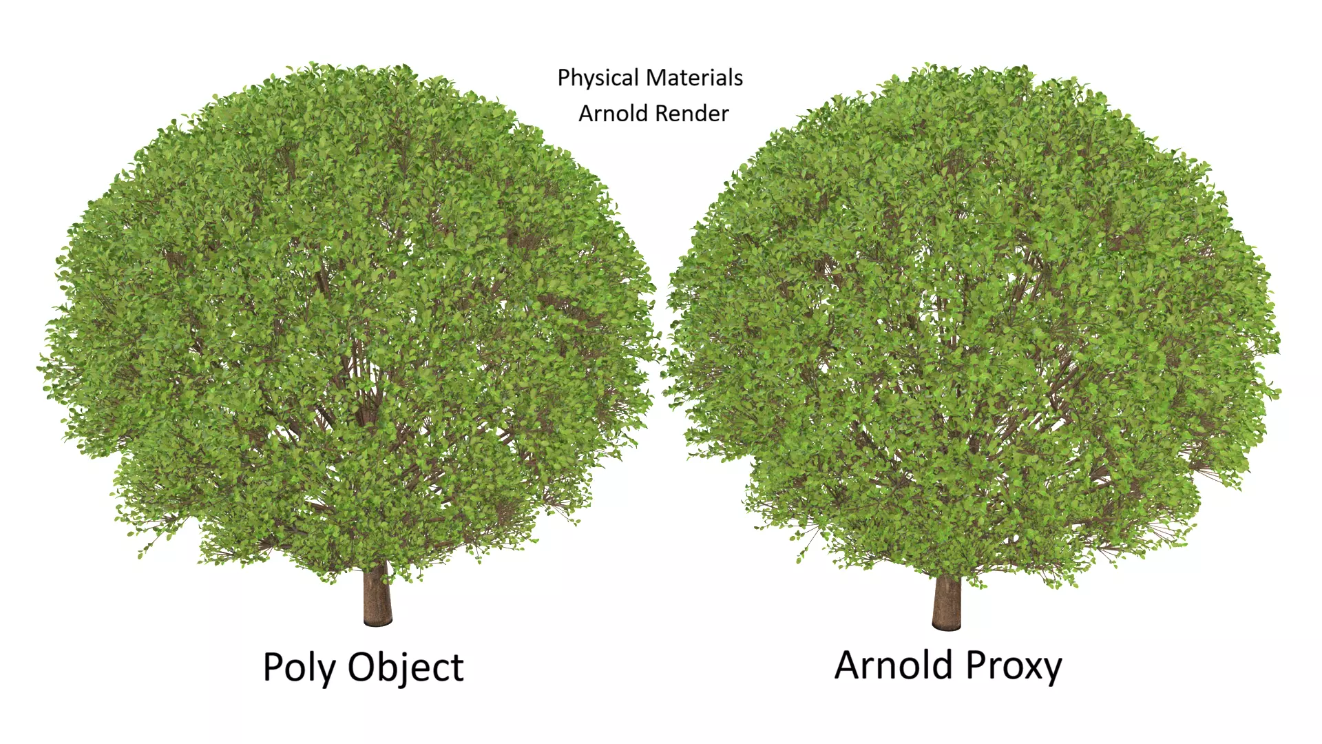 NMA Tree 001 Low-poly 3D model