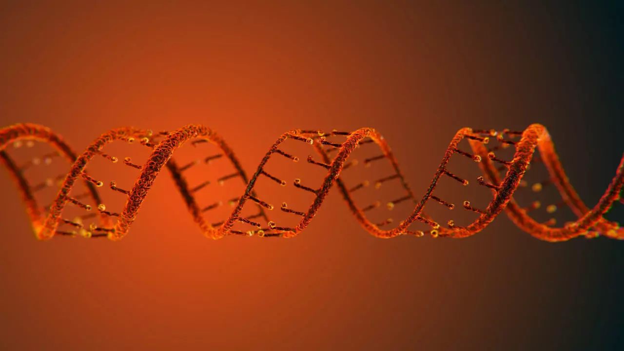 DNA Static Hipoly Model 3D model