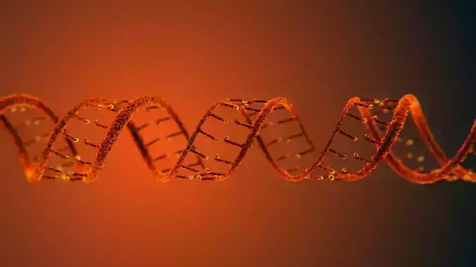 DNA Static Hipoly Model