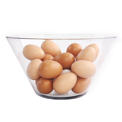 Egg in bowl 3D model