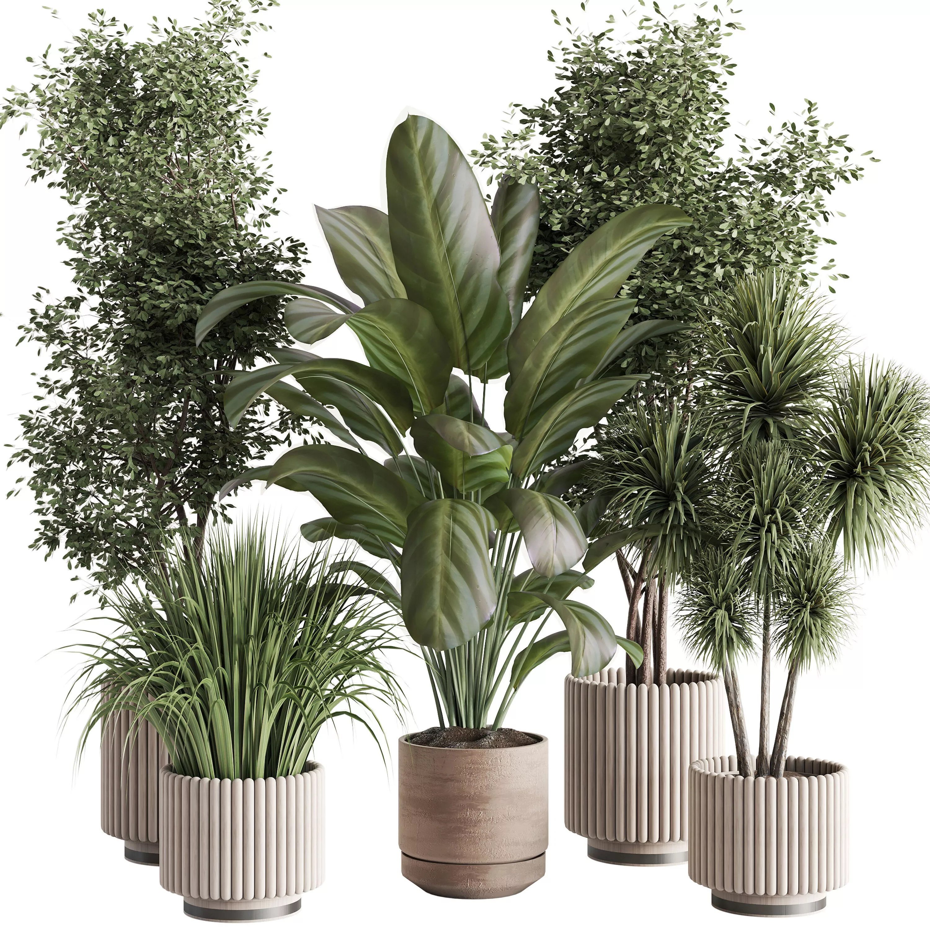 indoor plant Set 154 Low-poly 3D model