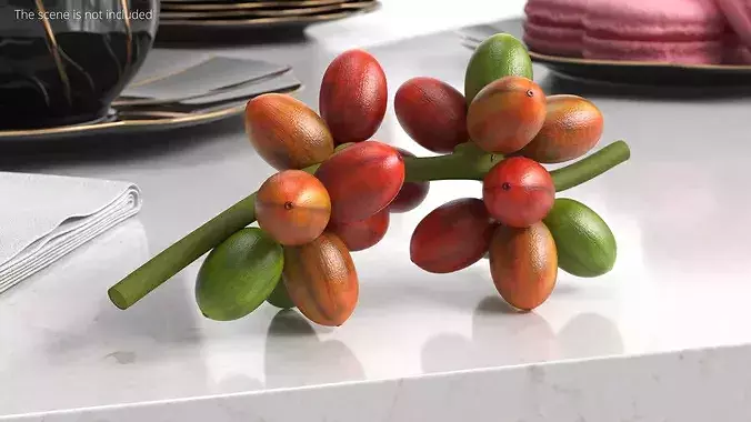 Coffee Bean Fruit Cluster Ripening Stage 3D model 3