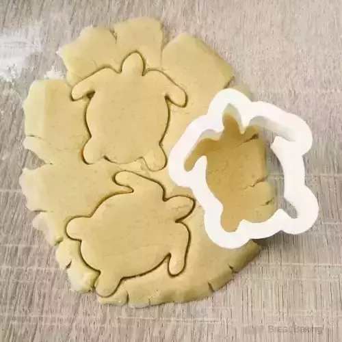 Turtle cookie cutter for professional