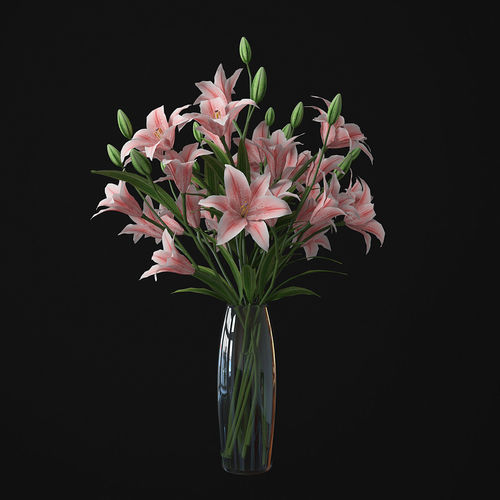 Lily 01 3D model