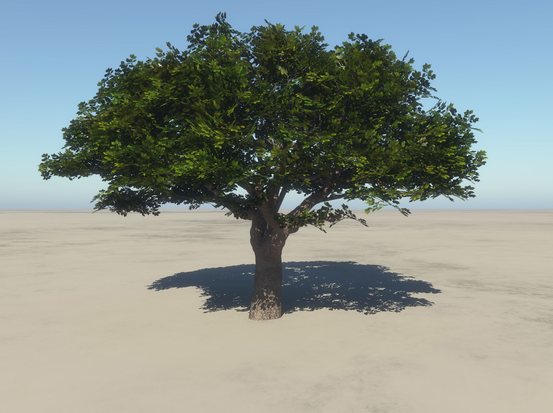Summer Cherry Tree 1 3D model_2