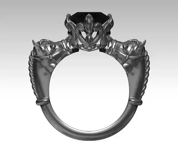 Horse Ring