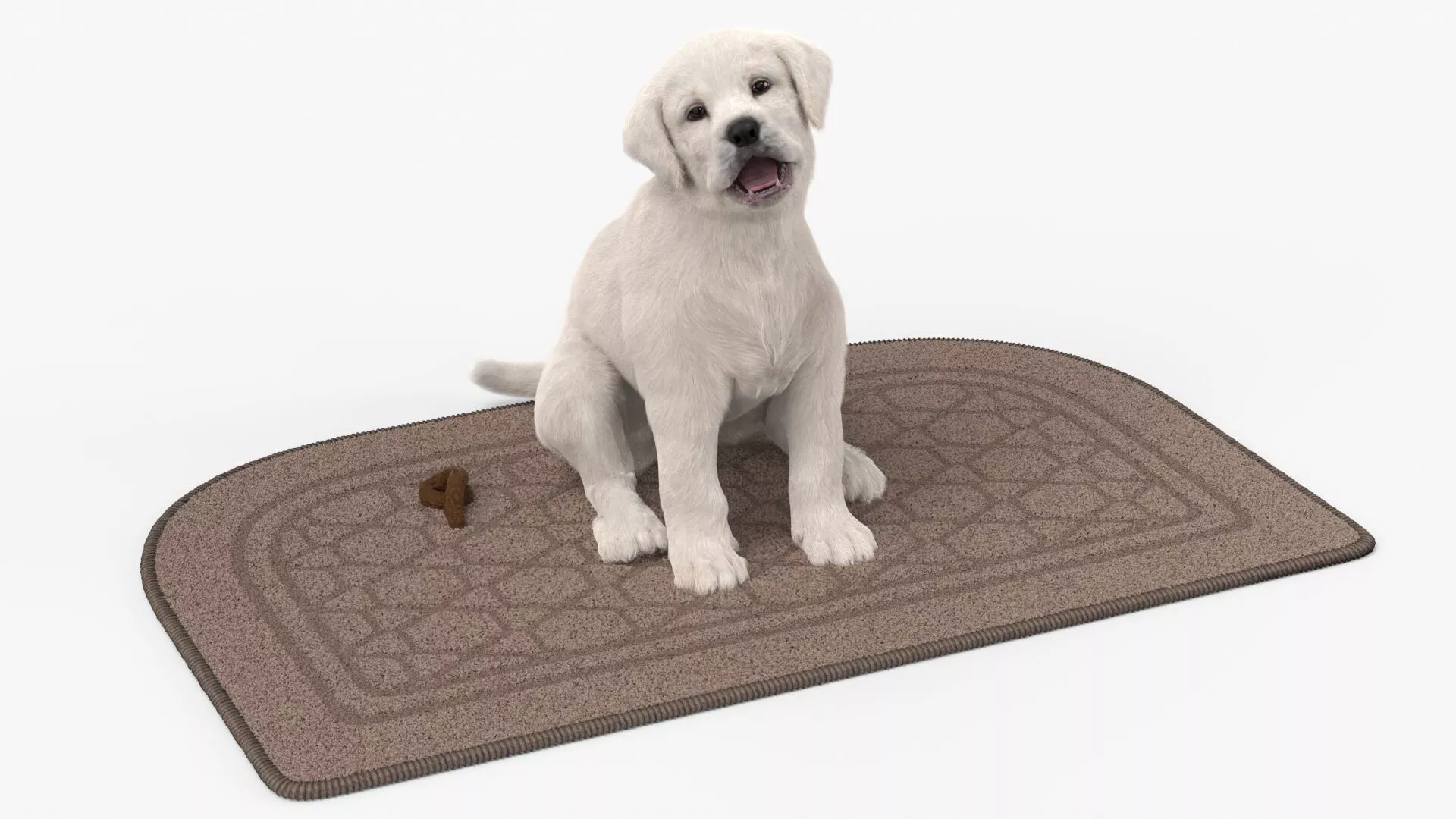 Labrador Retriever Puppy Pooped on the Mat Fur for Maya 3D model