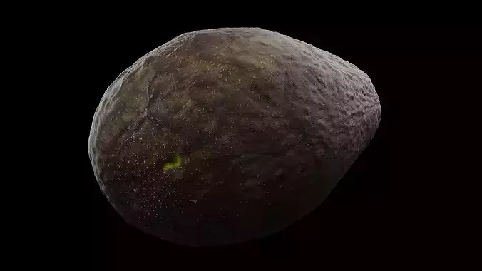 Avocado Fruit 3D model 3