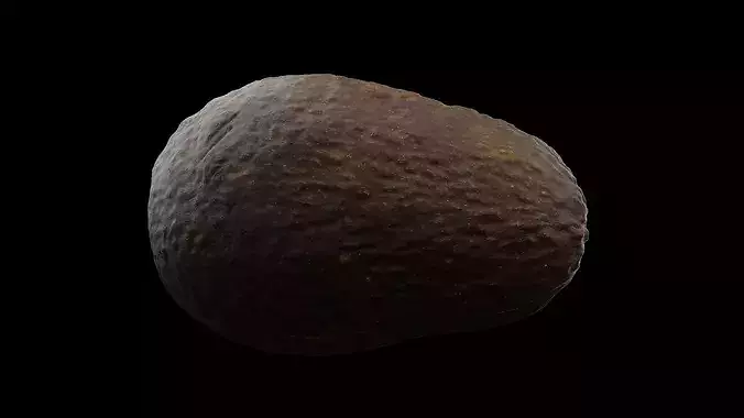 Avocado Fruit 3D model 4