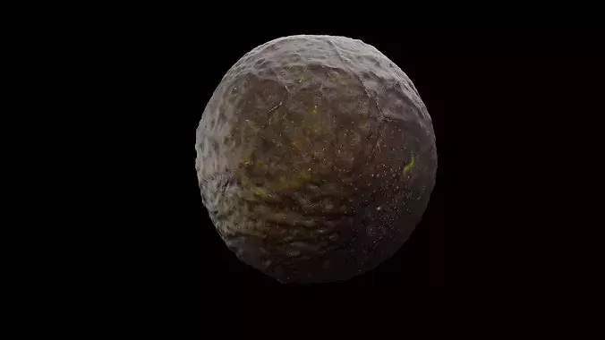 Avocado Fruit 3D model 5