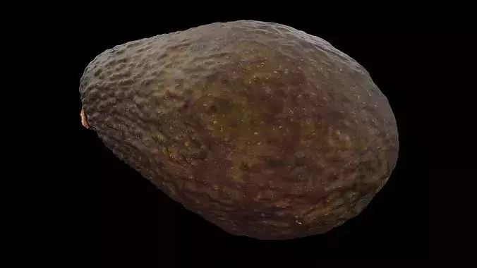 Avocado Fruit 3D model