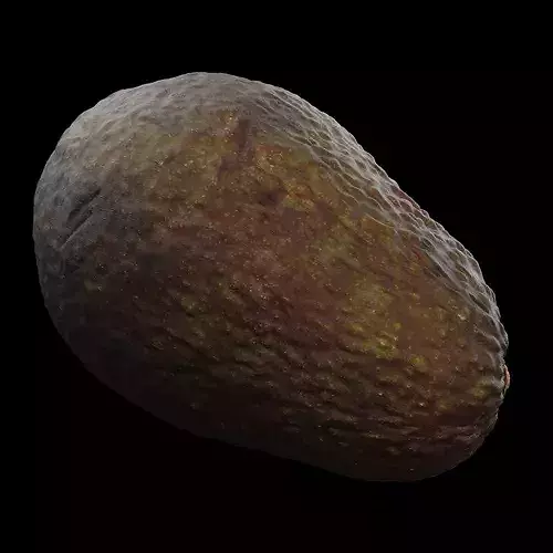Avocado Fruit 3D model 6