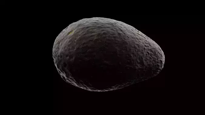 Avocado Fruit 3D model 7