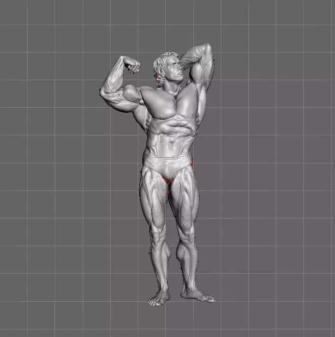 Arnold Classic 3D print model