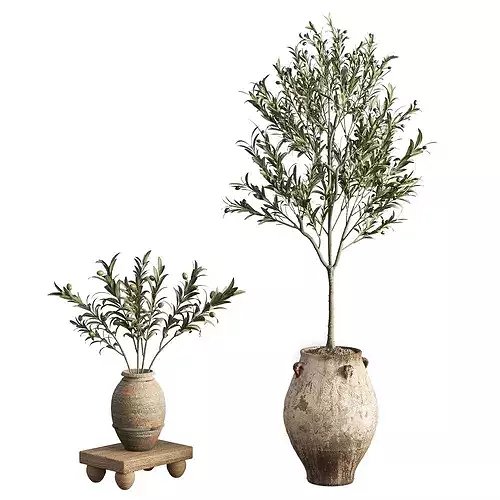 Olive Tree Concrete Pot