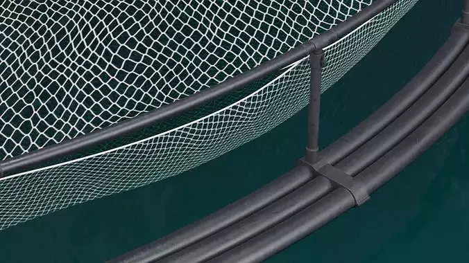 Offshore Marine Fish Farm with Circular Net and Fish 3D model 4