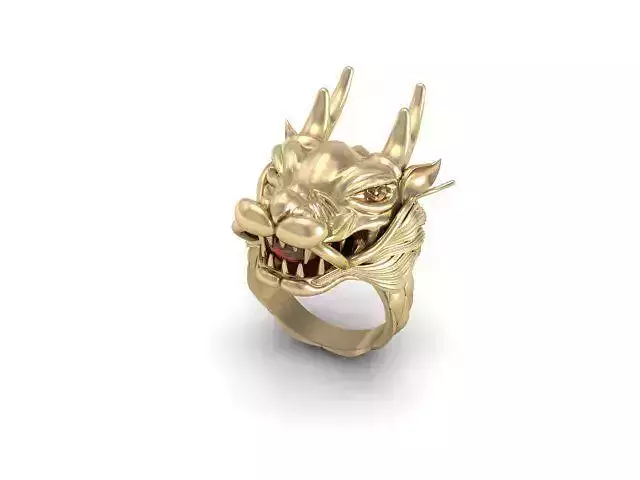 Beautiful ring dragon style