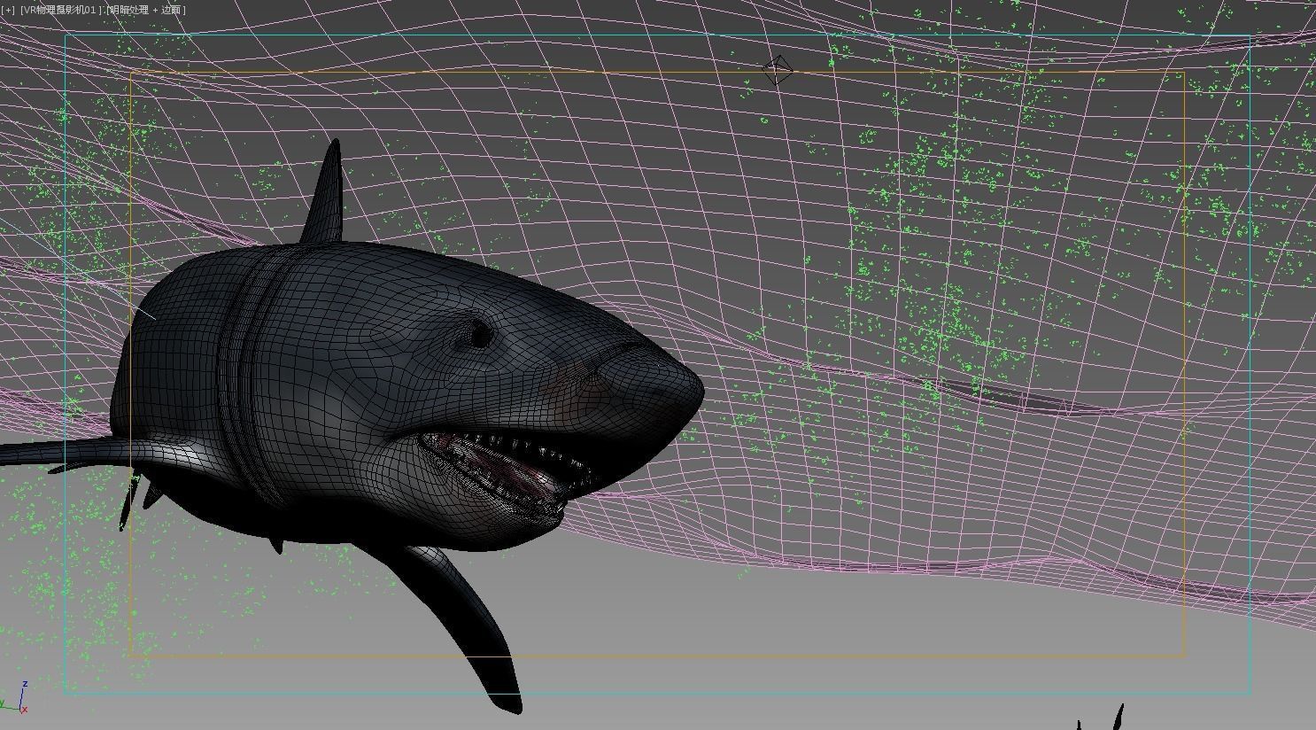 shark 3D model_7
