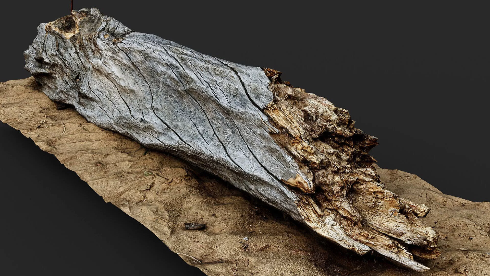 wood log dry tree trunk desert debris PBR photogrammetry Low-poly 3D model