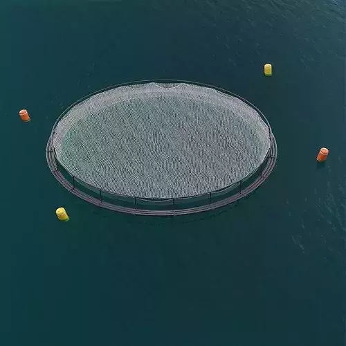 Circular Offshore Fish Cage with Buoys 3D model 2