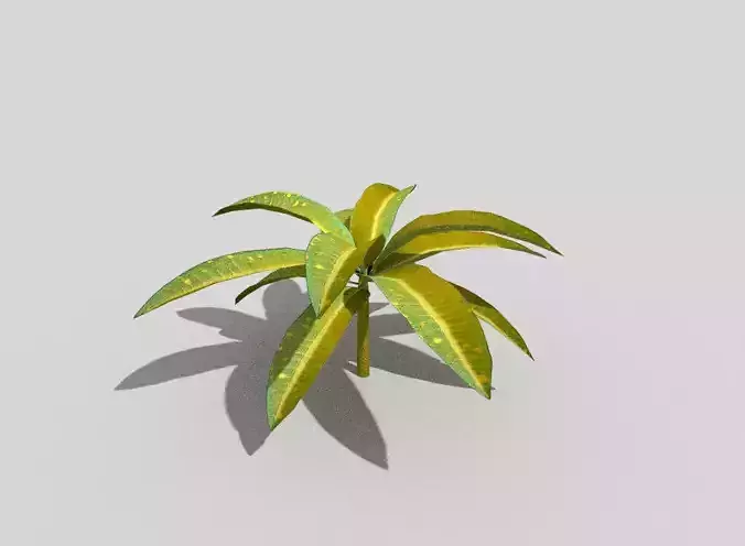 low poly tropical foliage Low-poly 3D model