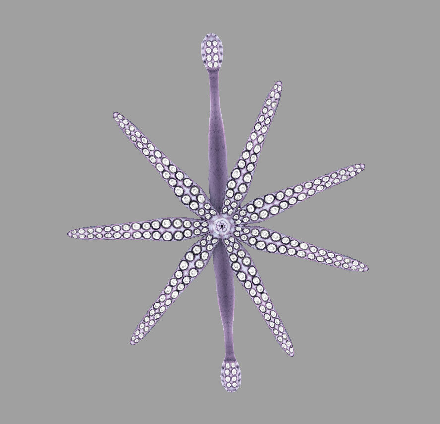 model cuttle octopus with eyes Low-poly 3D model_4