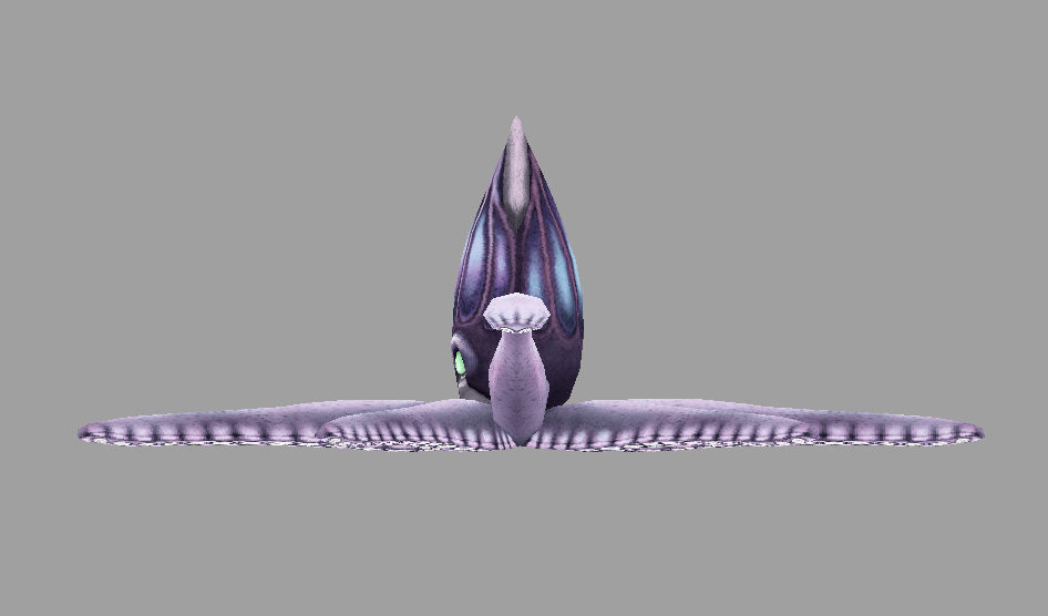 model cuttle octopus with eyes Low-poly 3D model_3