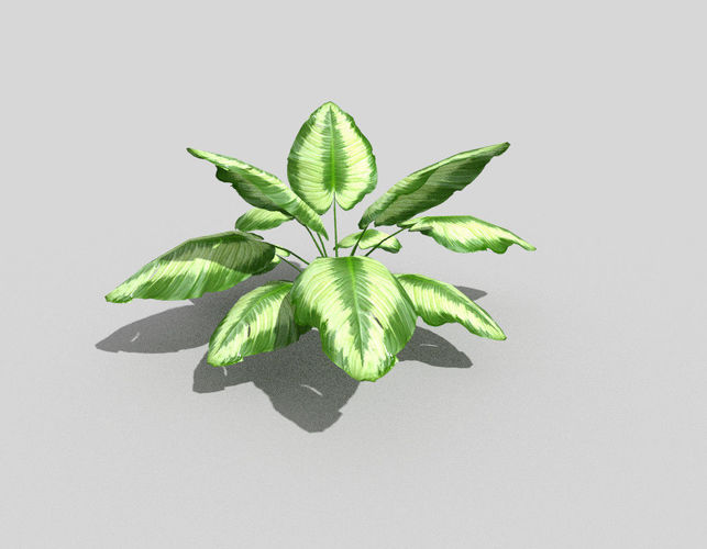low poly tropical foliage Low-poly 3D model