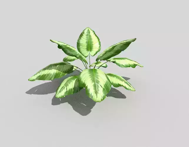 low poly tropical foliage Low-poly 3D model