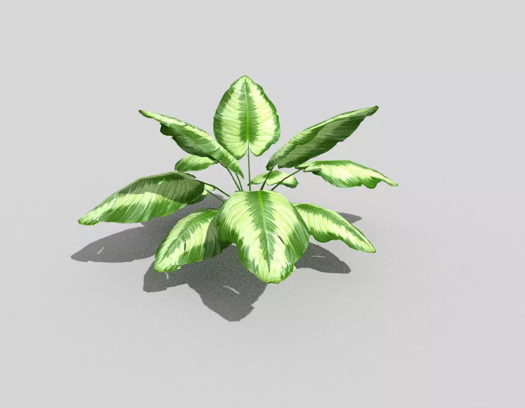 low poly tropical foliage Low-poly 3D model